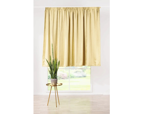 Perdea în fața unei ferestre cu o plantă de apartament pe o masă.