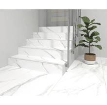 Scară cu plăci de marmură și o plantă într-un ghiveci