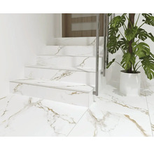 Scară și podea cu gresie aspect de marmură, completate de o plantă de apartament și o balustradă.