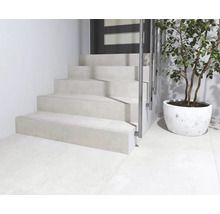 Scară cu balustradă și plantă în ghiveci într-o cameră luminoasă.