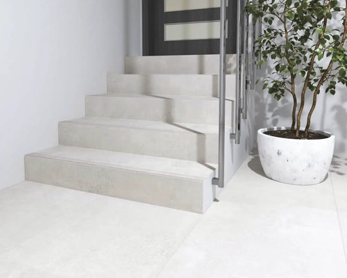 Scară cu balustradă și plantă în ghiveci într-o cameră luminoasă.