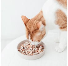 Pisica mănâncă hrană umedă dintr-un castron interactiv