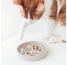 Pisică se uită la castronul cu mâncare