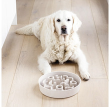 Câine de culoare deschisă întins în fața unui castron interactiv pentru hrănire