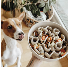 Câine cu limba scoasă în fața unui bol cu obstacole pentru hrănire lentă