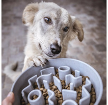 Câine cu laba pe castronul pentru hrănirea lentă