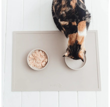 Pisică mănâncă de pe un covoraș pentru hrănire cu bol pentru mâncare și bol pentru apă