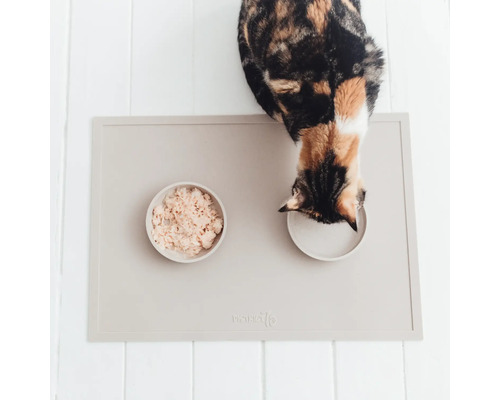 Pisică mănâncă de pe un covoraș pentru hrănire cu bol pentru mâncare și bol pentru apă