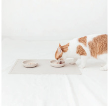 Pisică mâncând dintr-un castron pe un suport