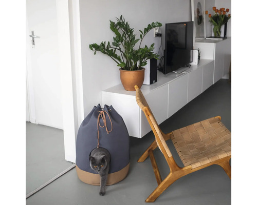 Căsuță pentru pisici lângă un scaun și o plantă în ghiveci într-un living luminos