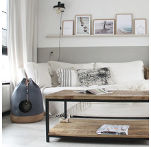 Living cu canapea, masă din lemn și casă pentru pisici