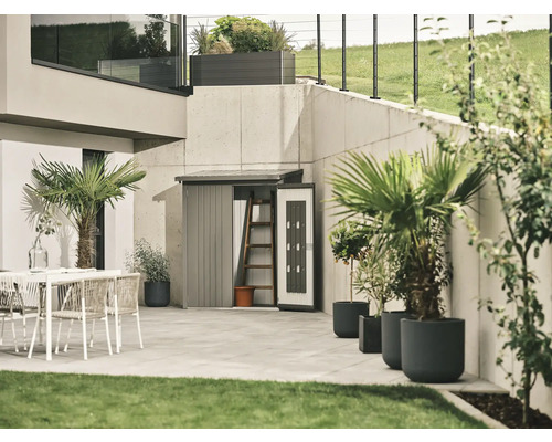 Ușă pentru Biohort WoodStock 230 metal 138x172,5 cm gri cuarț metalizat Scenă de grădină cu magazie de scule, mobilier de terasă și plante