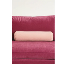 Pernă decorativă și rolă pe canapea