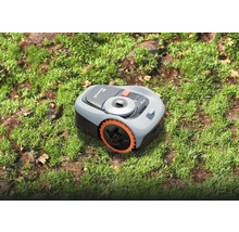 Robot de tuns iarba pe gazon