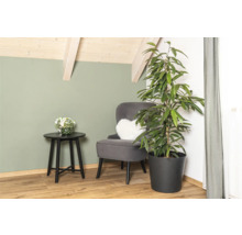 Colț de sufragerie cu fotoliu, măsuță laterală și plantă de interior