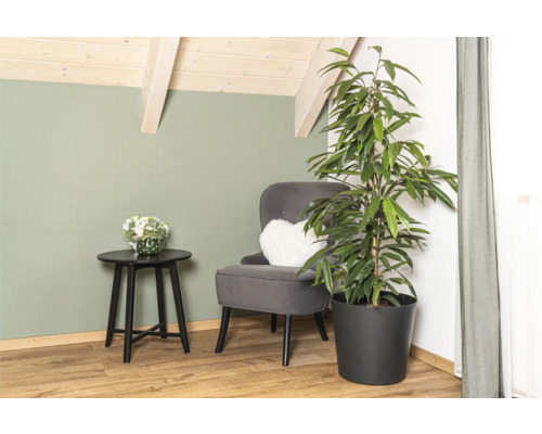 Colț de sufragerie cu fotoliu, măsuță laterală și plantă de interior