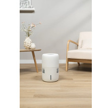 Dezumidificator de aer în sufragerie pentru reducerea umidității aerului