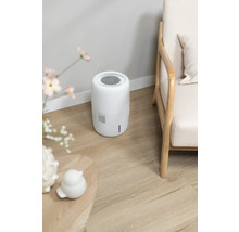 Dezumidificator lângă fotoliu și masă