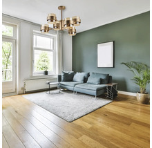 Living cu canapea, covor, plantă de apartament, fereastră și plafonieră aurie.