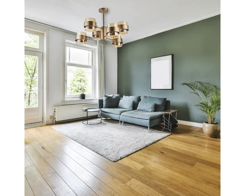 Living cu canapea, covor, plantă de apartament, fereastră și plafonieră aurie.