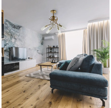 Cameră de zi cu canapea, măsuță de cafea și plafonieră