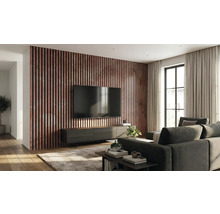 Cameră de zi cu perete cu panouri, televizor și canapea