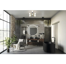 Baie cu chiuvetă dublă, oglindă, cadă și plante de interior