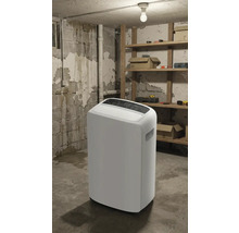 Dezumidificator alb într-o cameră de subsol cu rafturi și scule.