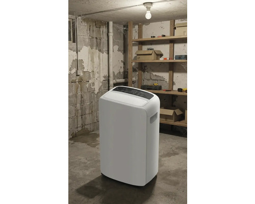 Dezumidificator alb într-o cameră de subsol cu rafturi și scule.