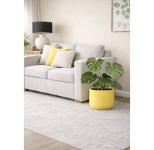 Living cu canapea gri deschis, perne decorative și plantă Monstera într-un ghiveci galben pe un covor gri deschis.