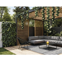 Scenă de grădină primitoare cu pergolă, zonă de relaxare și vegetație decorativă pentru o atmosferă relaxantă.