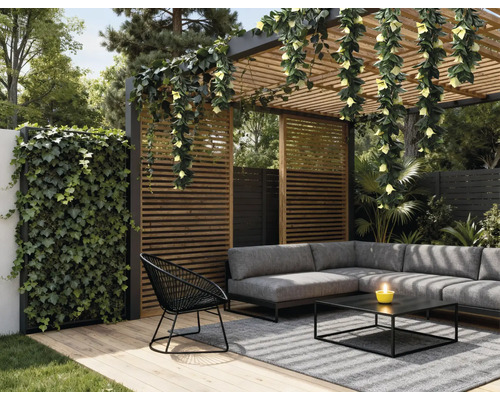 Scenă de grădină primitoare cu pergolă, zonă de relaxare și vegetație decorativă pentru o atmosferă relaxantă.