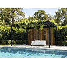 Scenă cu o pergolă cu plante lângă o piscină și o canapea
