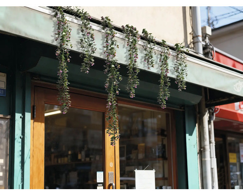 Plante artificiale decorative suspendate împodobesc fațada unei clădiri.