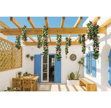 Spațiu exterior cu pergolă, decorat cu ghirlande de flori artificiale, cu zonă de relaxare și bancă.