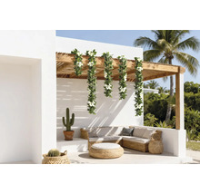 Terasa cu zonă de relaxare din ratan, cactuși și ghirlandă decorativă artificială cu flori pe o pergolă din lemn