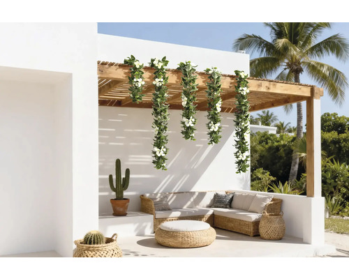 Terasa cu zonă de relaxare din ratan, cactuși și ghirlandă decorativă artificială cu flori pe o pergolă din lemn