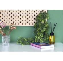 Scenă decorativă cu carte, difuzor de parfum, flori uscate, plante și panou perforat