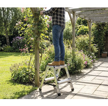 Bărbat stând pe o treaptă în grădină, tăind trandafiri