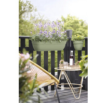 Scenă de balcon cu jardiniere, masă și scaun pe un balcon