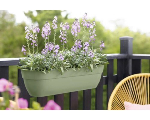 Jardinieră cu flori mov pe balustrada balconului