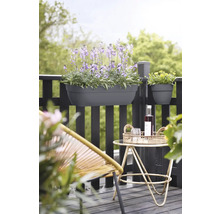 Scenă de balcon cu jardinieră plantată și decorațiuni pe o măsuță.