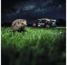 Arici în iarbă cu robot de tuns iarba în fundal sub cerul înstelat