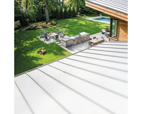 Imagine de ansamblu a unei grădini cu zonă de grătar, zonă de relaxare și robot de tuns iarba.