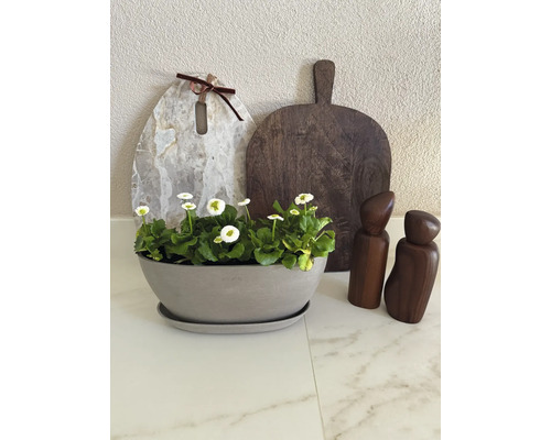 Bol pentru plante Ecopots cu farfurioară și flori pe un blat de lucru lângă tocătoare și râșnițe de condimente.