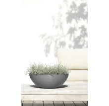 Bol pentru plante ECOPOTS gri și rotund cu o plantă argintie pe o masă de lemn într-un spațiu exterior luminos.