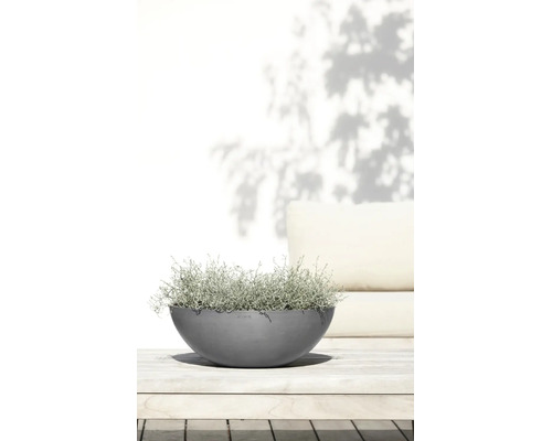 Bol pentru plante ECOPOTS gri și rotund cu o plantă argintie pe o masă de lemn într-un spațiu exterior luminos.