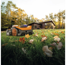 Robot de tuns iarba pe un gazon cu frunze în fața unei case.