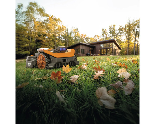 Robot de tuns iarba pe un gazon cu frunze în fața unei case.