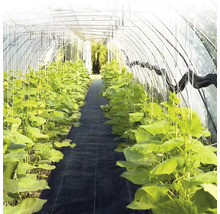 Seră cu plante și material geotextil